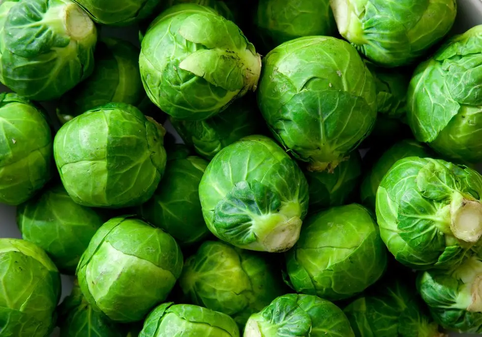 a dish full of uncooked, unpeeled sprouts