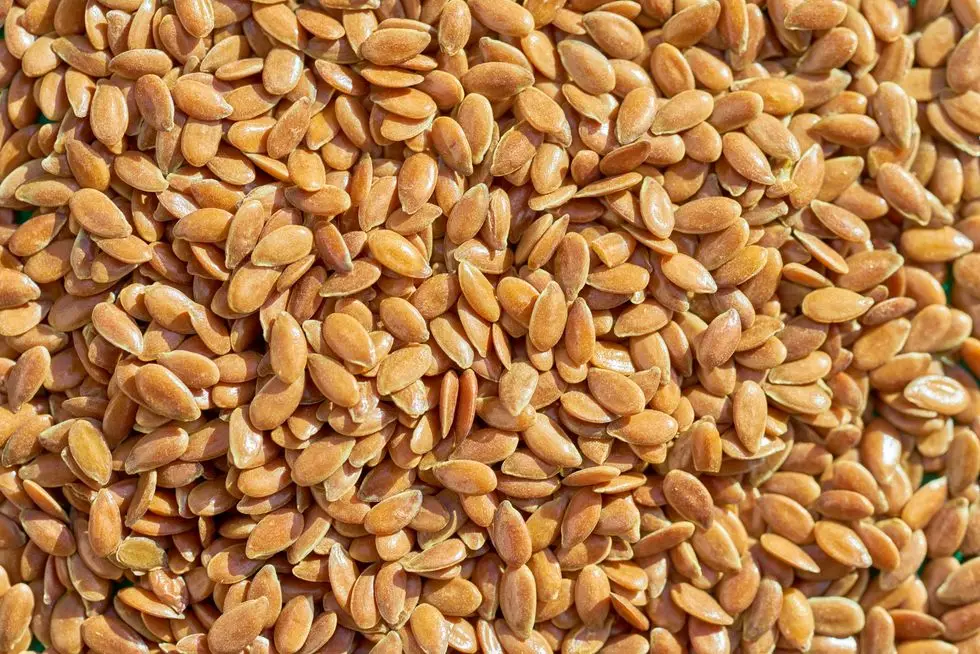 full frame shot of flax seeds