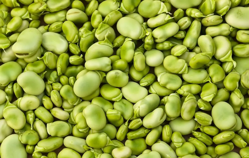 Lima beans