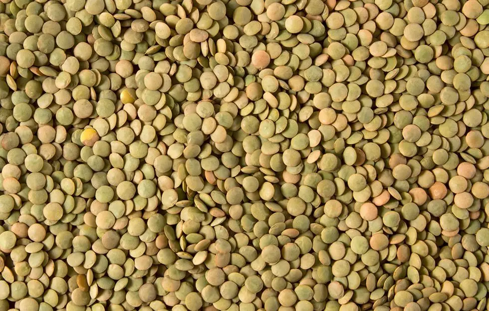 Green lentils