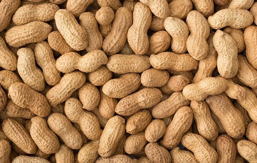 Peanuts