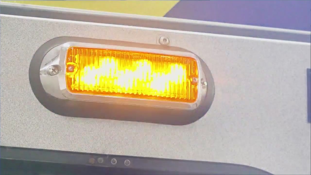 Woodstock crash: Elderly man struck by car seriously injured, dog killed