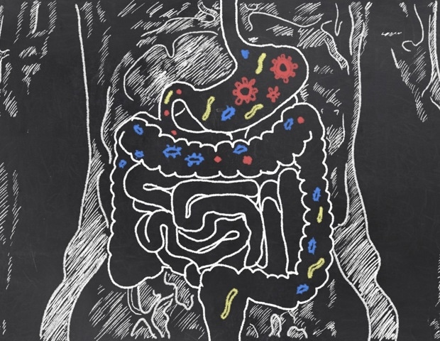 Revolutionizing precision nutrition with gut microbiome insights