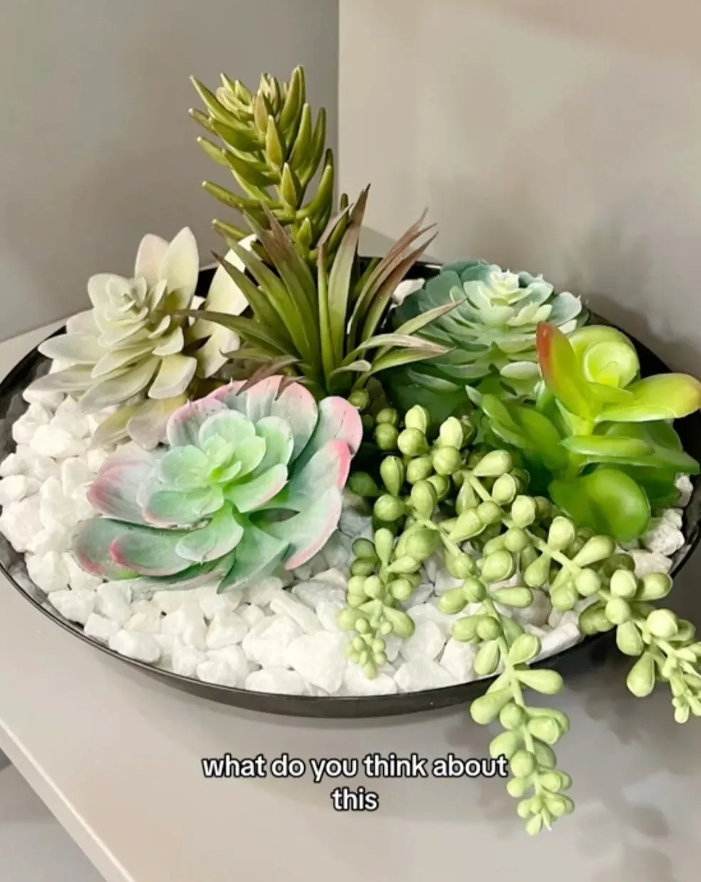 The Dollar Tree shopper showed her followers the finished faux succulent garden