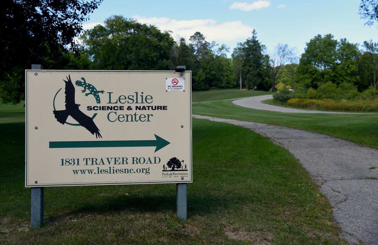 Ann Arbor OKs $250,000 for Leslie Science and Nature Center playscape project