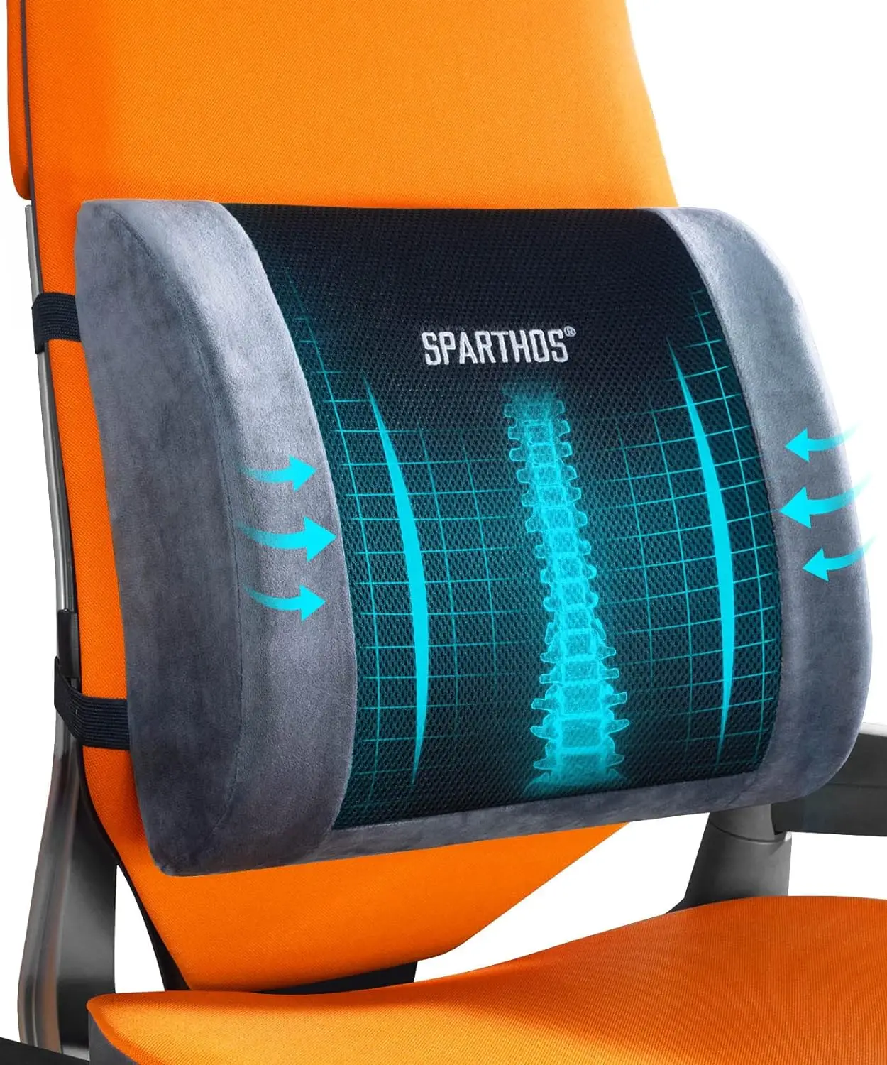 Sparthos Support Lumbar Pillow 