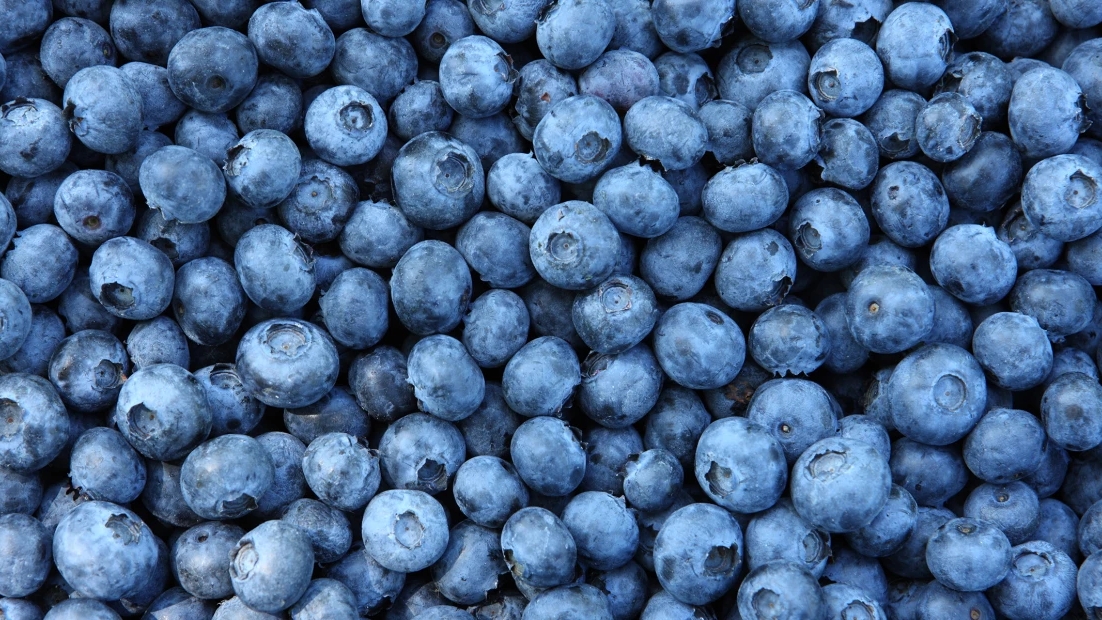 Unveiling the Mystery: What Makes Blueberries Blue and Their Potential Health Benefits