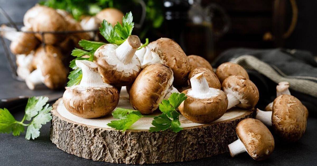 A Healthy Fungus Among US: The Surprising Health and Nutritional Benefits of Mushrooms