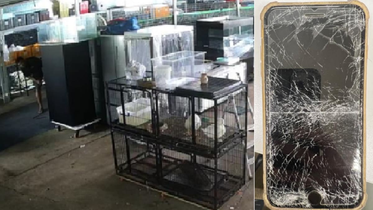 Man kept record 69 wild animals illegally in fish farm leased from NParks, gets jail