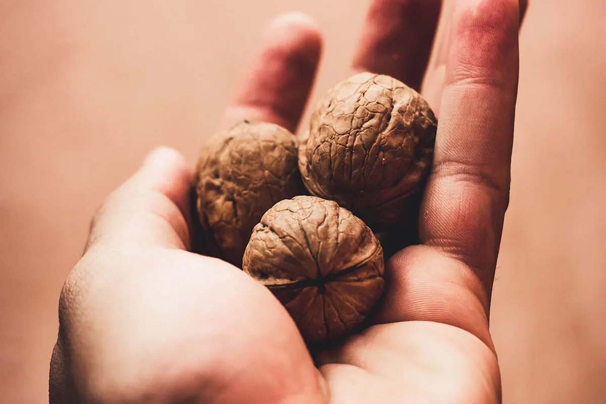 walnuts