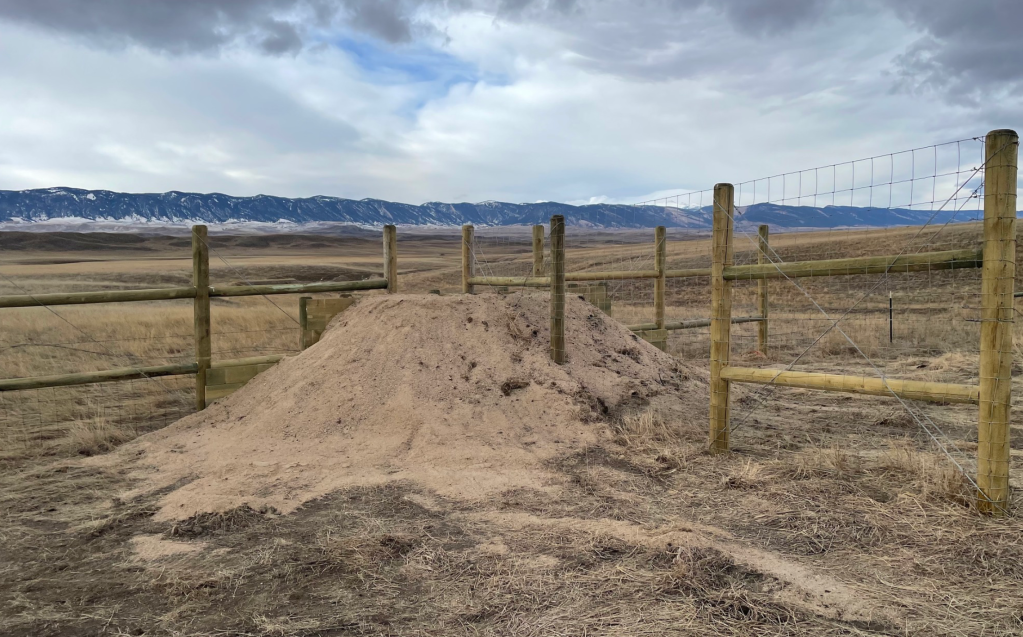 New Wyoming Wildlife Crossing Could Save The Lives Of Hundreds Of Deer & Other Animals.