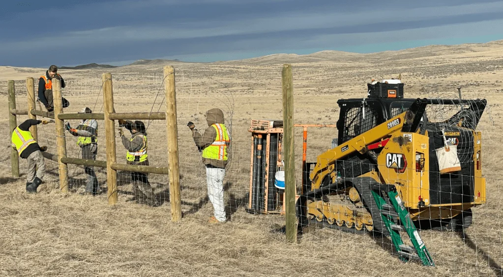 Construction crew building fencing to funnel animals through special crossings. 