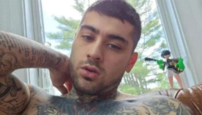 Woman Reveals Zayn Malik’s Problematic Actions with Proof