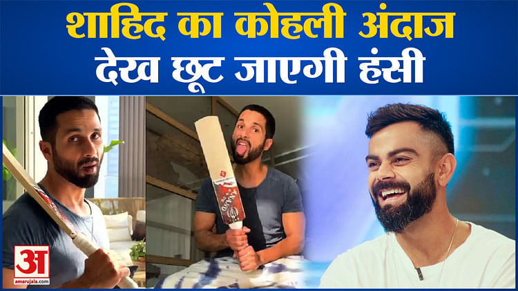 Bollywood News: Shahid Kapoor का Virat Kohli अंदाज देख छूट जाएगी हंसी