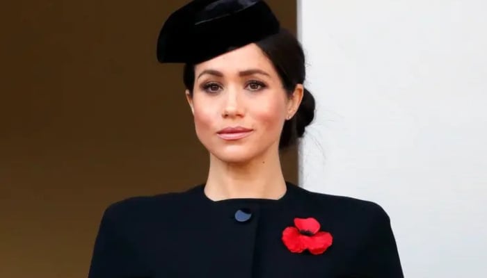 Meghan Markle urged to ‘take risks’ amid financial woes