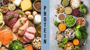 Animal protein vs plant protein: Which one is better?