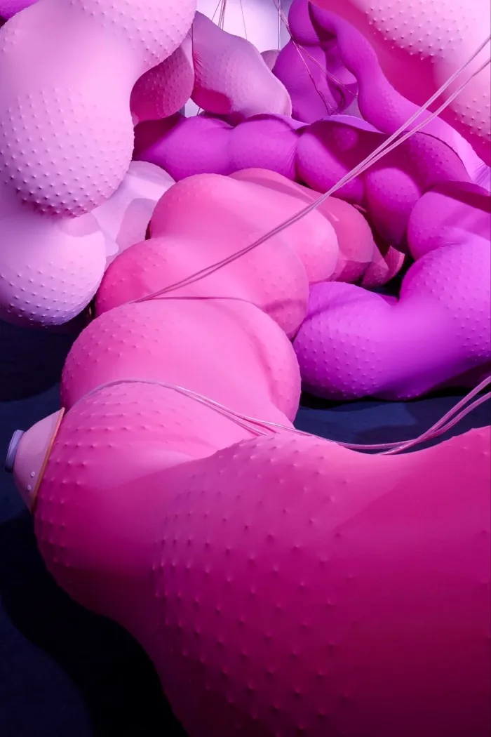 Sculpture in bright pink intestine-like shape