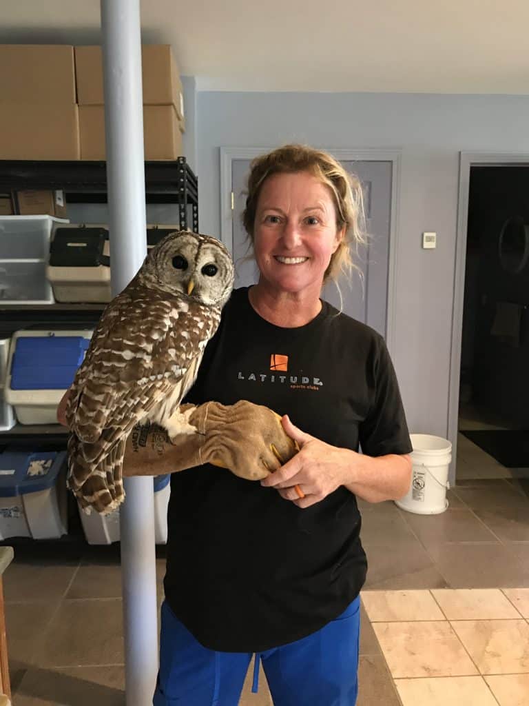 Hummingbird Hospital is now Park City Wildlife Rehab