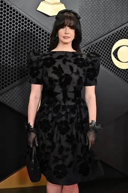 LOS ANGELES, CALIFORNIA - FEBRUARY 04: (FOR EDITORIAL USE ONLY) Lana Del Rey attends the 66th GRAMMY Awards at Crypto.com Arena on February 04, 2024 in Los Angeles, California. (Photo by Lionel Hahn/Getty Images)