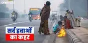 Indore Weather News: जाते-जाते ठंड चमकी, इन जिलों में इस दिन तक रहेगा सर्द हवाओं का कहर