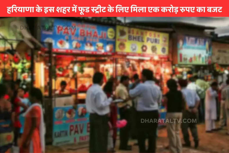 Haryana Food Street: हरियाणा के इस शहर में फूड स्ट्रीट के लिए मिला एक करोड़ रुपए का बजट, खाने की क्वालिटी से लेकर लोगों को मिलेगी ये सुविधाएं