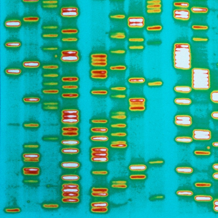 It’s time to admit that genes are not the blueprint for life