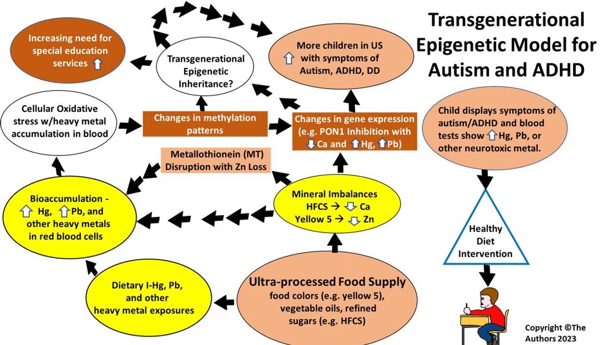 Nutritional Epigenetics Education: Transforming Children’s Health …