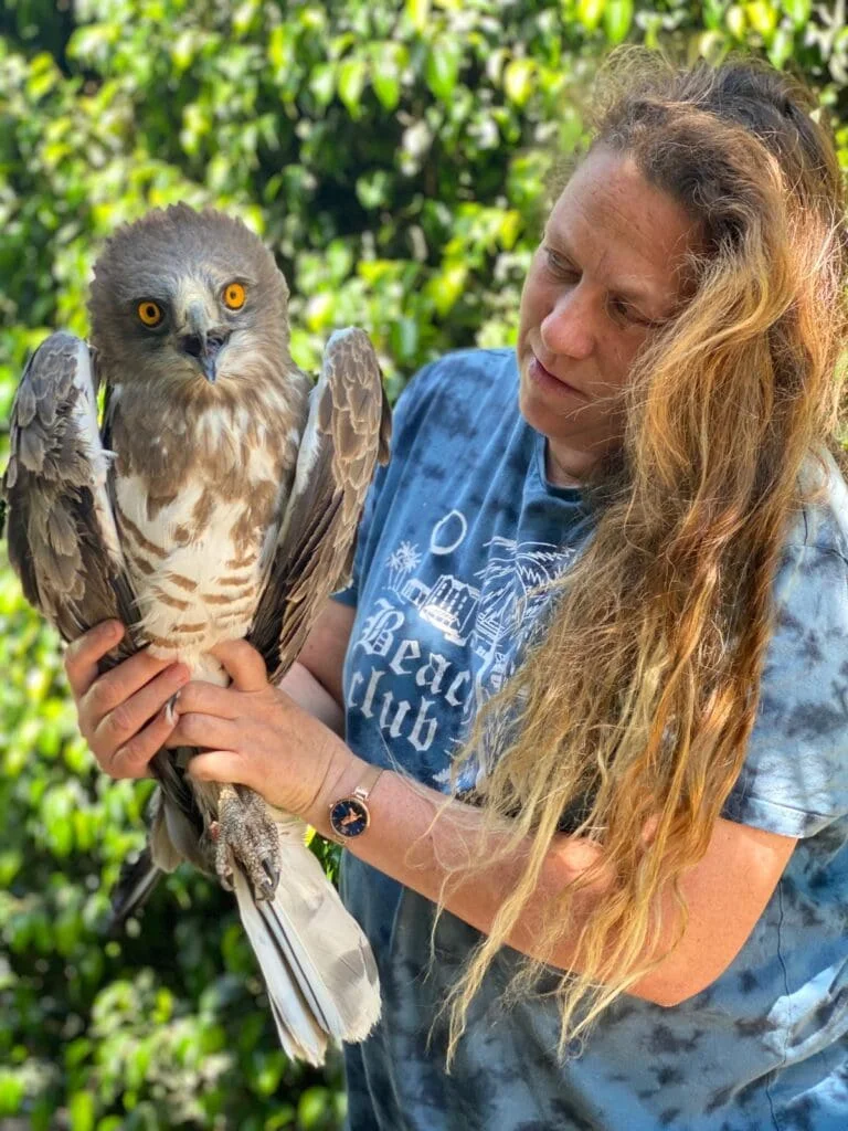 Haibulance volunteer Tzukit Raviv holding a snake eagle that was electrocuted in northern Israel. Photo by Coral Raviv