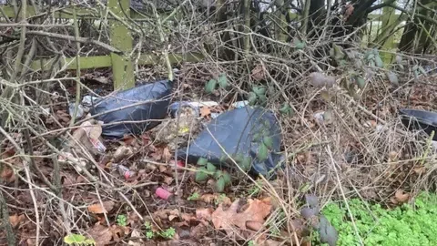 Ian Puckey/BBC Litter on the side of the A12