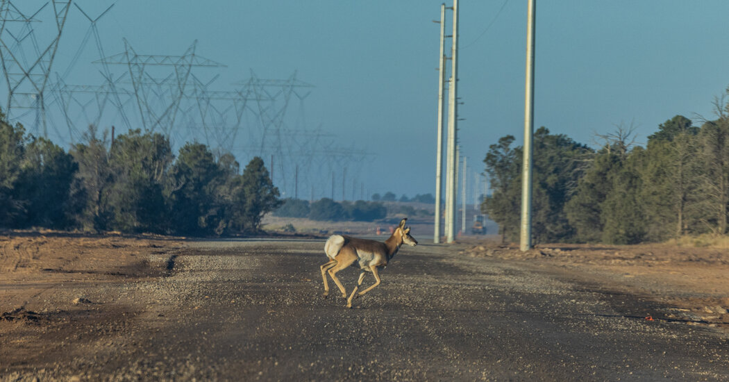 The Planet Needs Solar Power. Can We Build It Without Harming Nature?