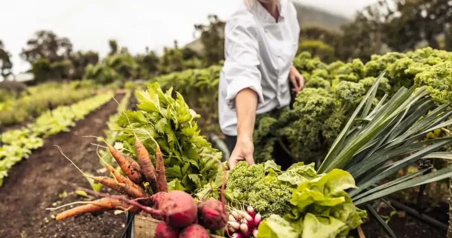 A chef with a basket of vegetables