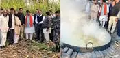 Indore news: 'गांव चलो अभियान' पर निकले कैलाश विजयवर्गीय, गन्ने से गुड़ बनाने की तरकीब सीखी