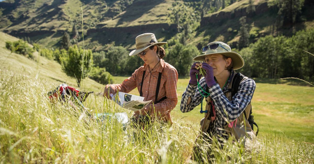 Careers at The Nature Conservancy