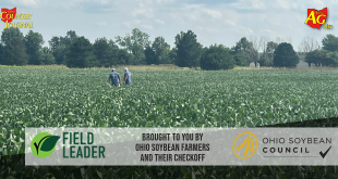 Optimal nutrition for dairy cattle: High oleic soy’s growing role – Ohio Ag Net
