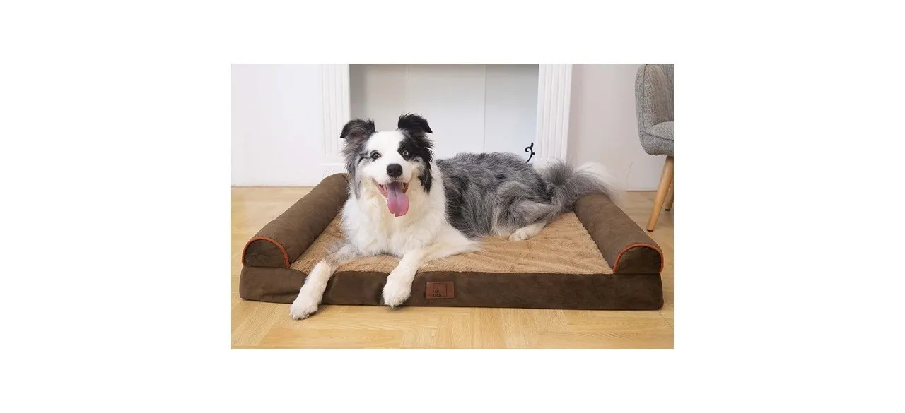 Best Lazy Lush Orthopedic Pet Bed