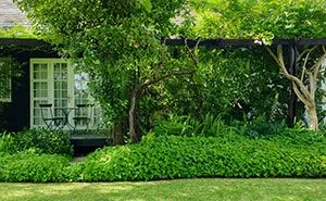 New Landlord Demands Tenants Restore The Garden To Its Original State, Loses It When He Sees It's Now Just A Patch Of Dirt