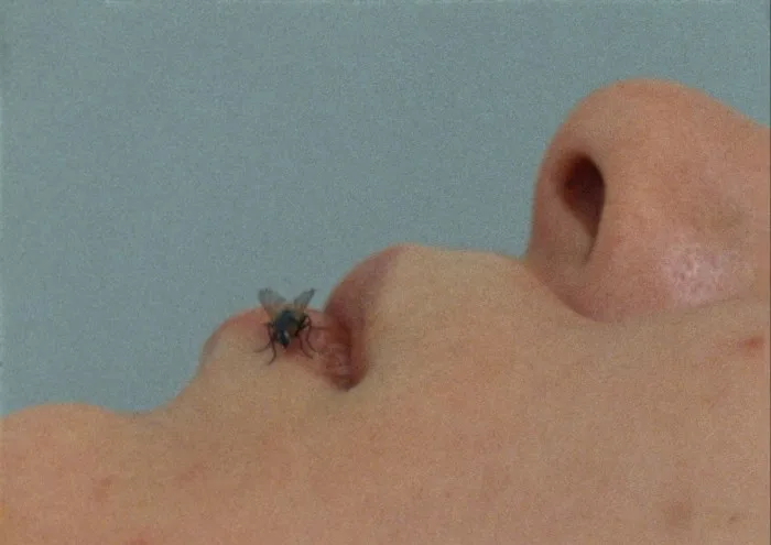 A fly on a woman’s lip