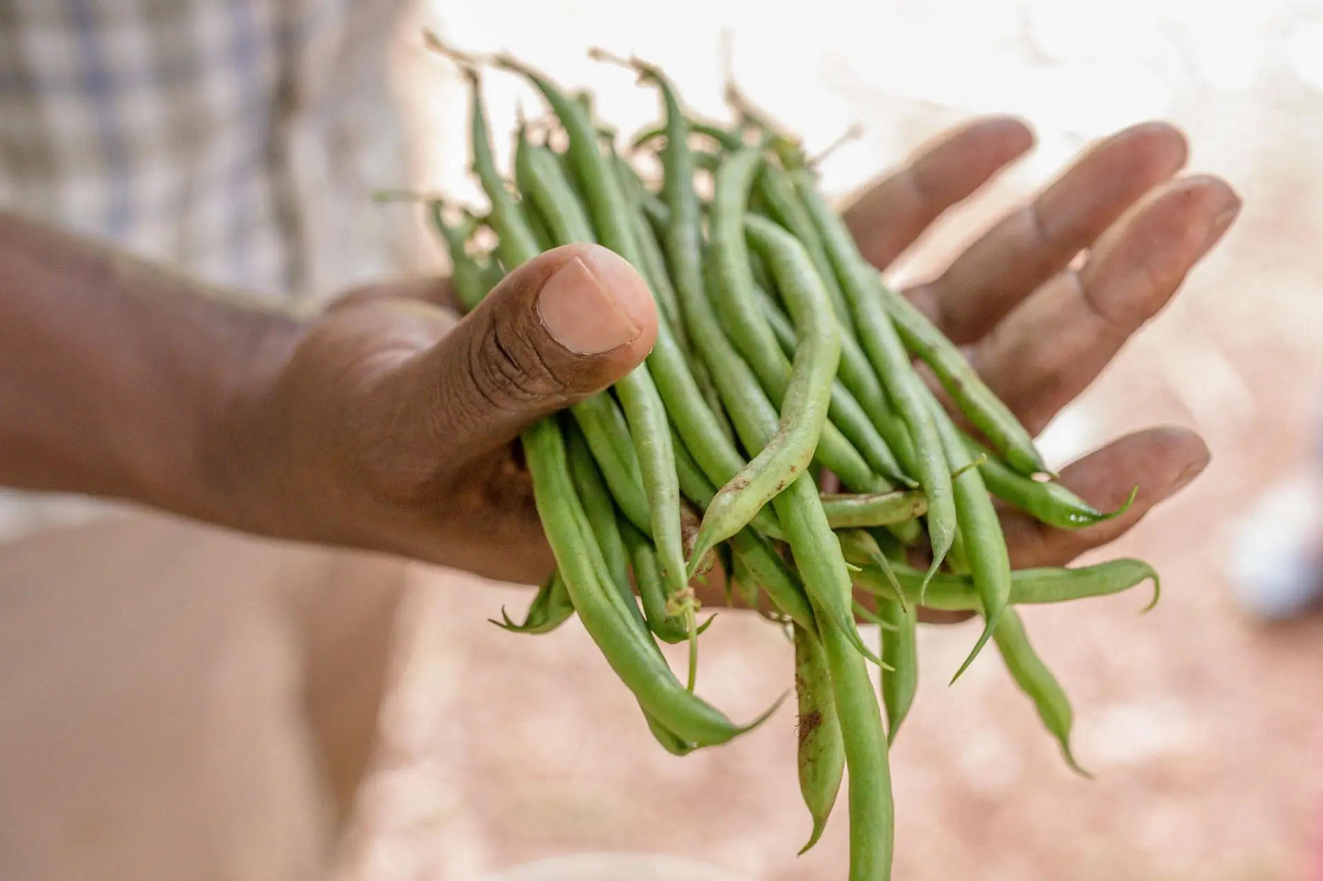 healthy foods to eat everyday (image sourced via Pexels / Photo by antony)