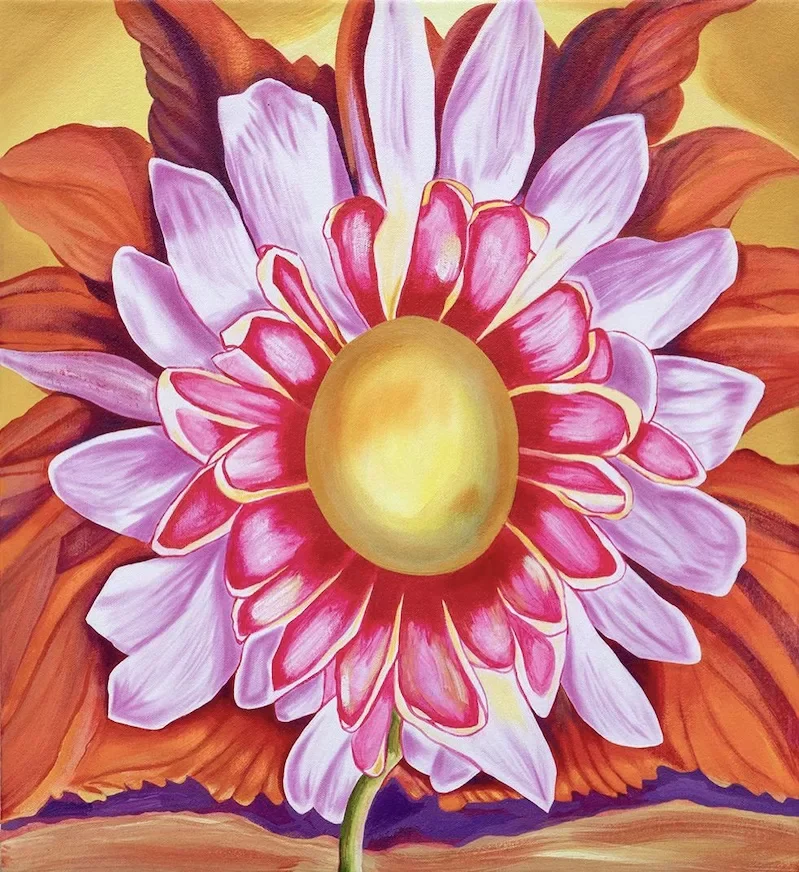 A flower is open towards the viewer, its big yellow bulbous center looking un-natural and it is surrounded by many petals from pink to lilac and orange.