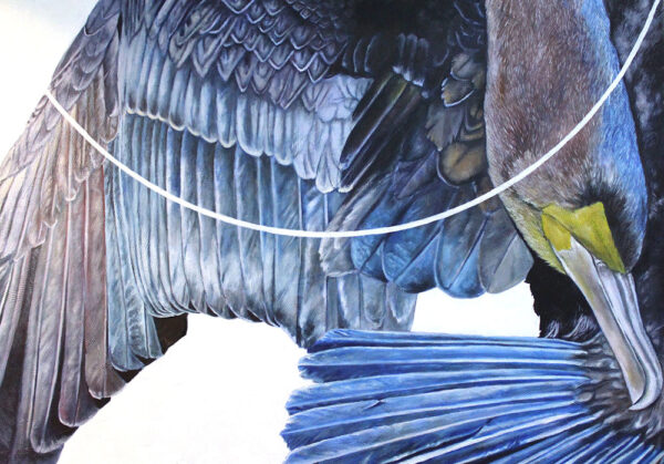 Nature and Common Ground: Talking with Ashley Perez