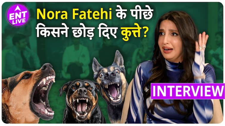 Nora Fatehi के पीछे क्यों छोड़े गए कुत्ते?नोरा के नखरों ने लेट कराई फिल्म की शूटिंग| Crakk Interview