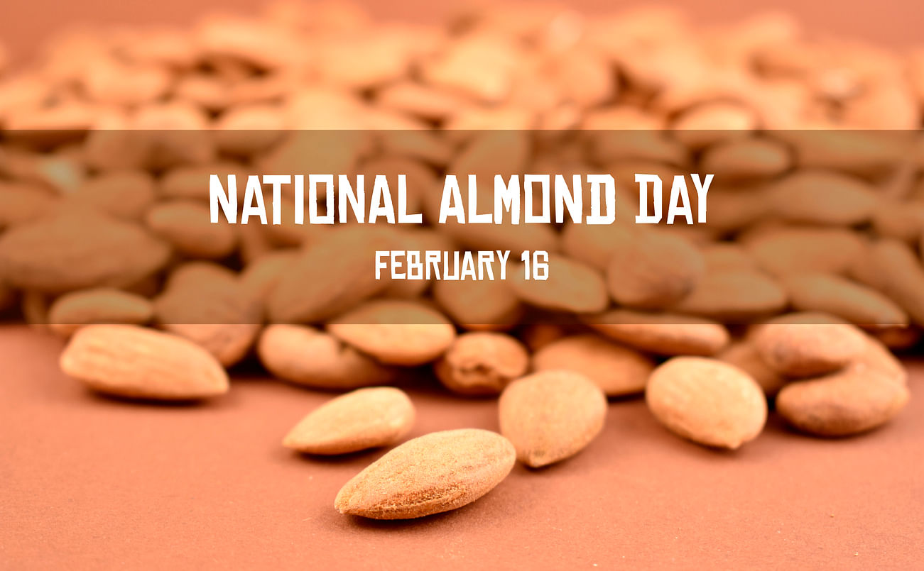 National Almond Day 2024: History, Significance, and Health Benefits of Almonds