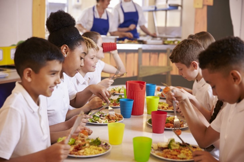 Educaterers supports healthy eating initiatives