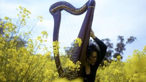 Moving Image Exhibition Debuts at Shepparton Art Museum