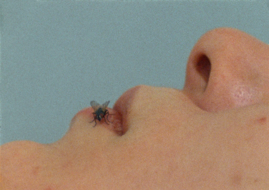 Yoko Ono, FLY 1970-71. Courtesy the artist