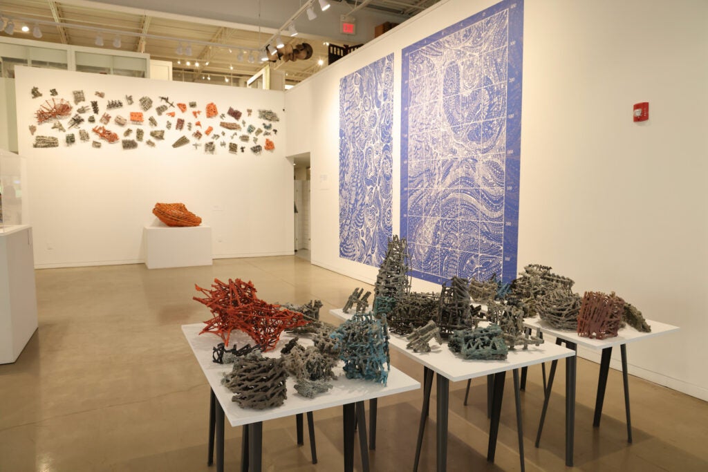 Climate art tells a fantastical story at the Museum for Art in Wood