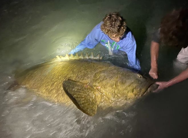 Sarasota teen lands huge Goliath grouper; Braden River alum nominated for College Emmy