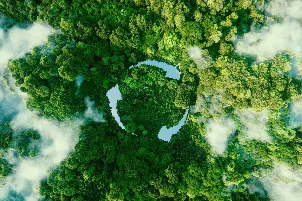 Símbolo de reciclagem no meio de uma floresta intocada. Conceito de sustentabilidade e proteção ao meio ambiente