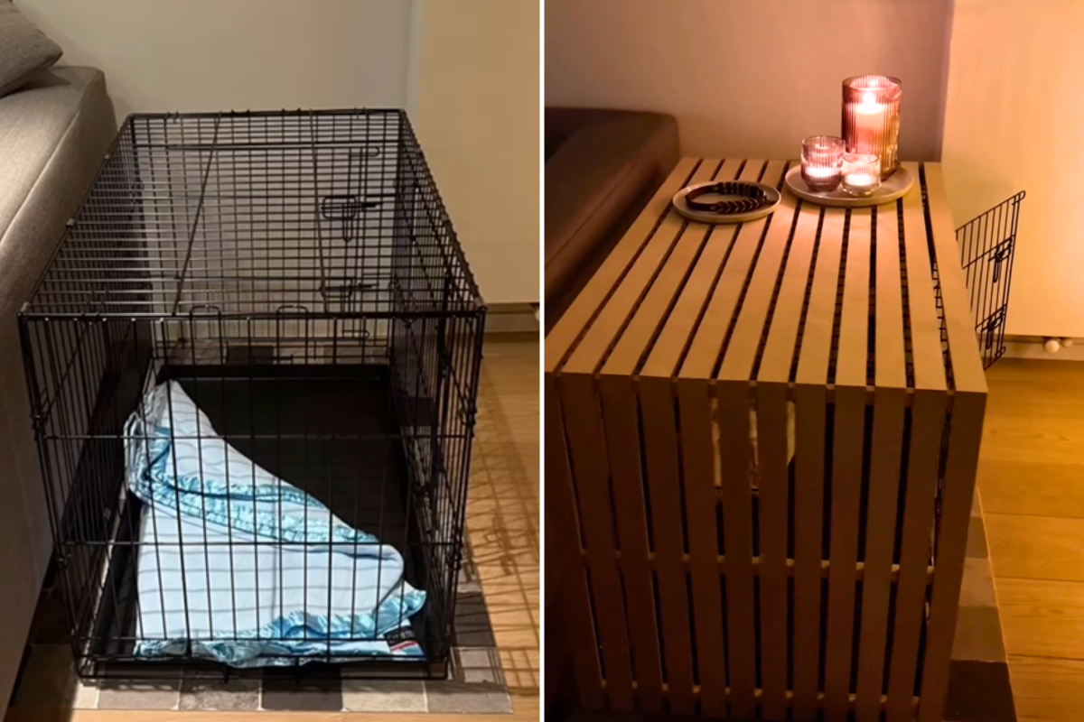 Couple upcycle dog crate into “stylish” home décor in 12 hours