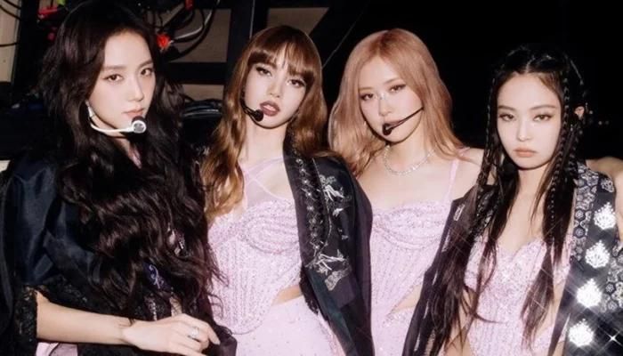 BLACKPINK Members Paused Group Activities to Focus on Solo Journey